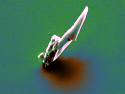 Item #88425369129469894980589771095889463825406609439564309002072926016994977775617 Media