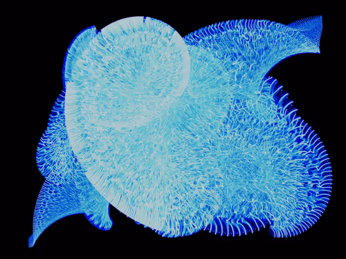 Item #45731211464929816441170859700976373292149702980452148839612469054561702641665 Media