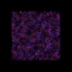 12032733712256437664215437925069129638151898554142308319368358819083101143041