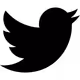 m0nkey_eth Collection