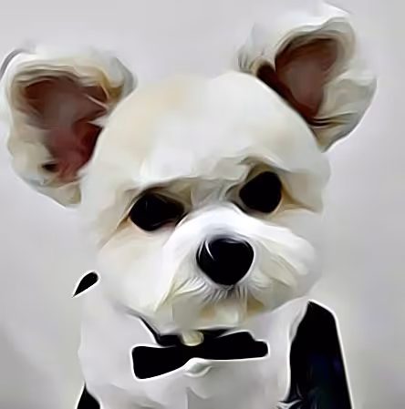 Item #21607923784025543658024067331009769919395041958272689574271021060588249808897 Media