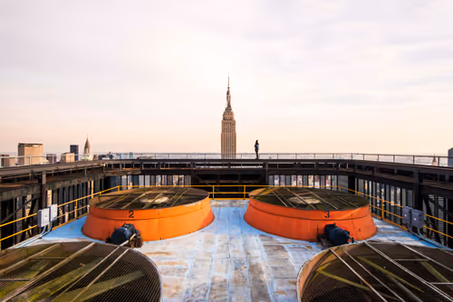 Item #69206175898094348167329775029479831163857088769830465510196440494038251995137 Media