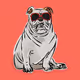 DiggetyDog.013-English Bulldog
