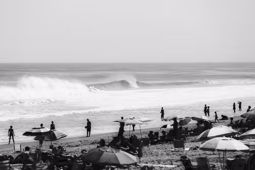 Item #33133418116115063529352542376683175373255544775551034598216737129870691139585 Media