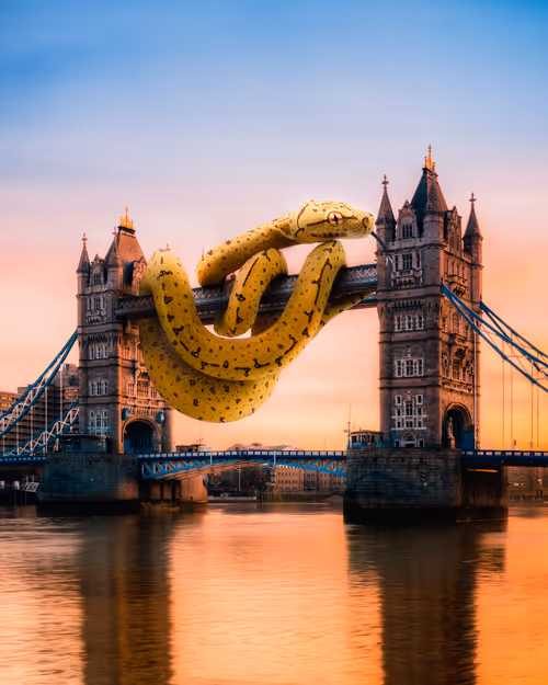 Item #44899826006193838655764715468721601160155167556143089793806025135749775491073 Media