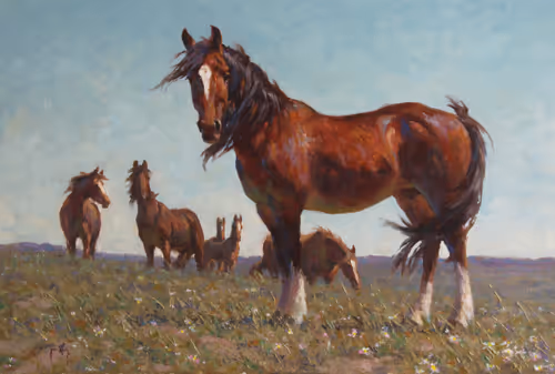 Item #2718211631602966409016842612386070734440370123177458684643300798157155205121 Media