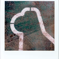 Polaroad #96 - T-Rex