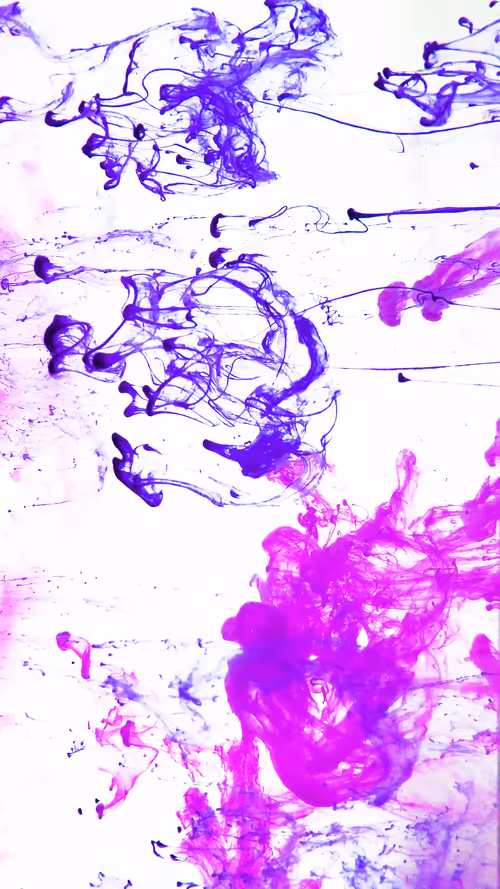 Item #31305712980941030161867633175304117506253559023819364015858336182122835869697 Media