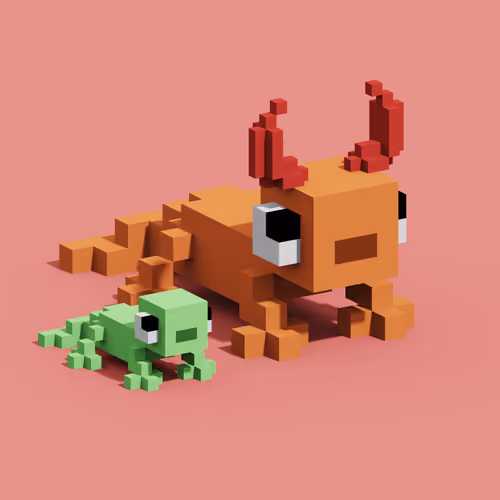 Gecko #1294