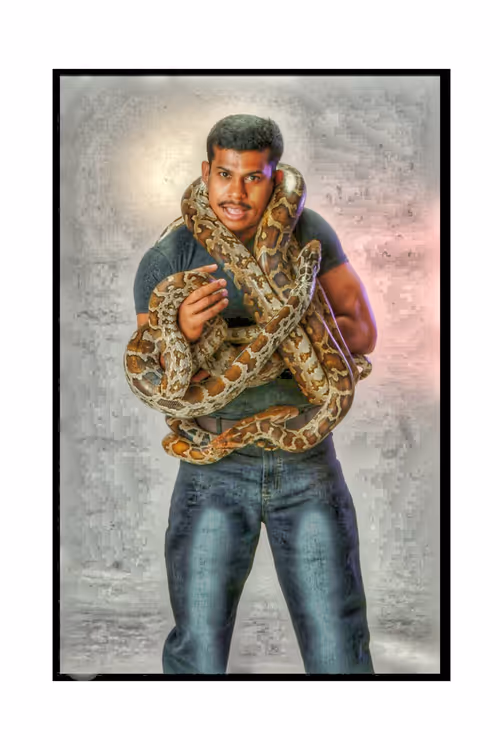 Item #44893761589081647640796247362324493883362712989984067389455319901602718941185 Media