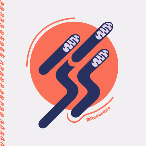 Item #28217420329942861487200254143315689988869562790284857015817128400795648131073 Media