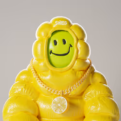 17974318616143110689476854568053593327007574895759980515967269022740925906945