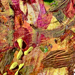 103339891511083649628151468174755833174756146348798787383313738597537830404097