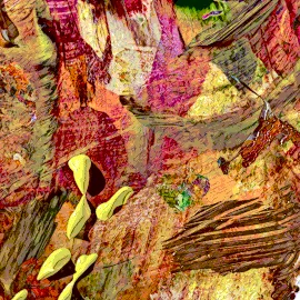 Item #103339891511083649628151468174755833174756146348798787383313738597537830404097 Media