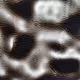 44704681397088848301913158707485115739467664962926921688399197470209116995585
