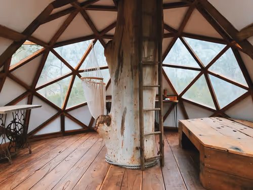 Untitled Collection #241657371 - old