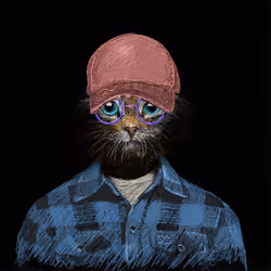 MetaTabby #146
