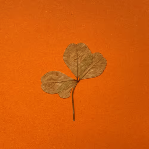 Item #103686640383972386915296784894542231468073856368856454861741466999625789472769 Media