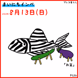 81664083123670143983968740139941474364733981378414170565535212660427600166913