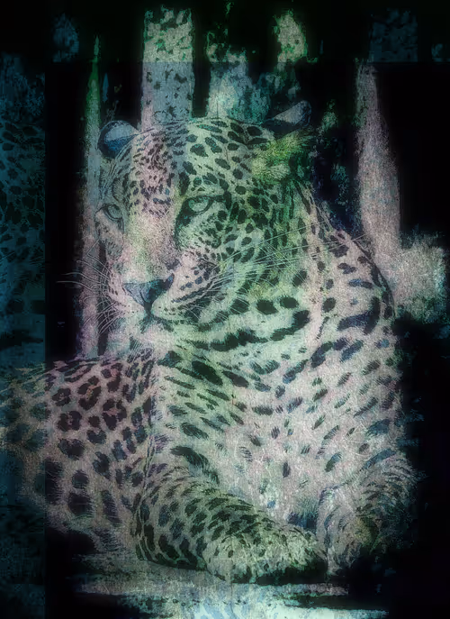 Item #112706814490930413132795555787302569515543672113453404084317514480997583814657 Media