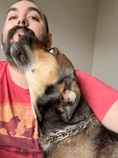 Untitled Collection #277882875