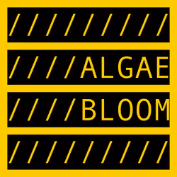 ALGAE BLOOM
