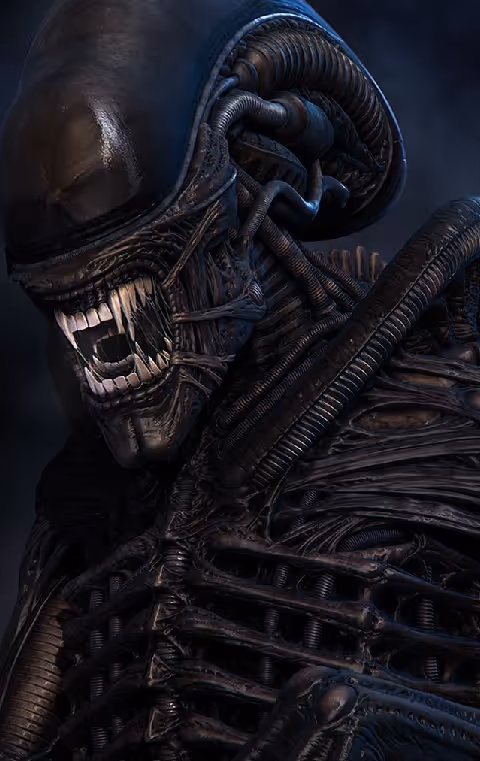 Item #61744107664162309247725721563886098131305387474826874655579098748458171891827 Media