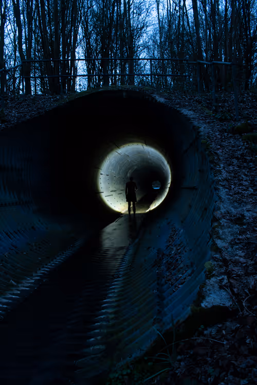 Item #29956901132246618646711879720997610222942018781282168904643674077344311541761 Media