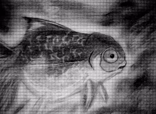 Item #997206929255182261689006561877728570346368789463025019670870544708536369153 Media