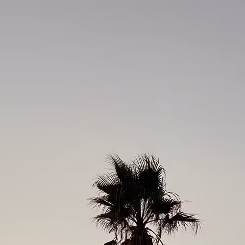 Untitled Collection #161152303