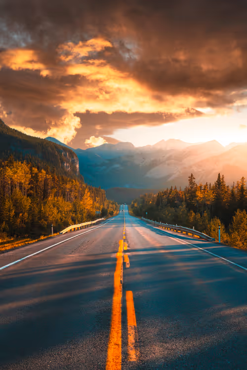 Item #62546128571173573861370652936856218284243546780344801453551937508022339764225 Media