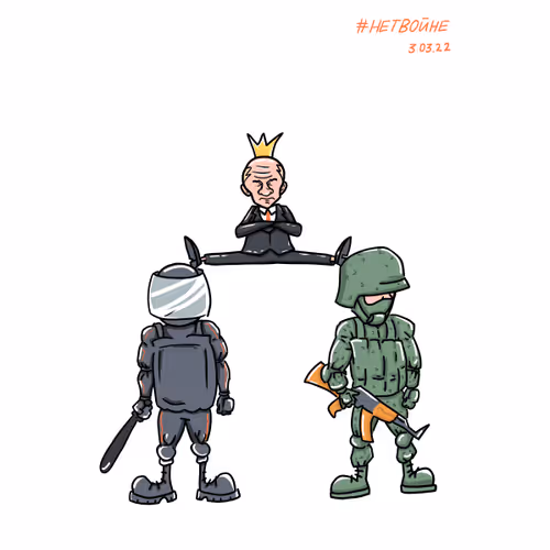 SfNOW Collection - old