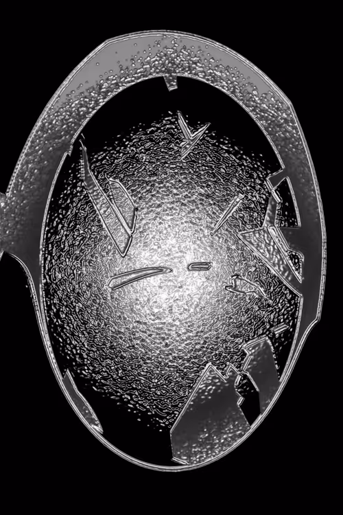 Item #19878596446725955897409150779416185298252979544722235927847960519515006042113 Media