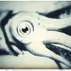 Squid gang
