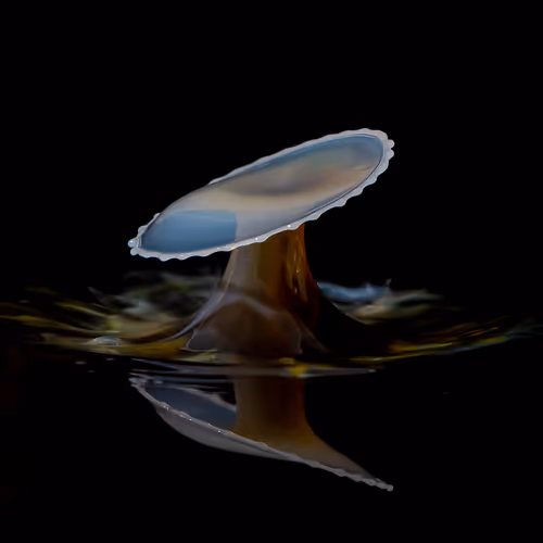 50dropsofwater