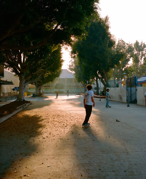 Item #74180388987835072097633391580607238135275622999050710486878638616306442567681 Media