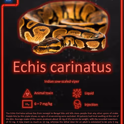 94280673873177462608162102439760652801338708629220639874744065260430202765314