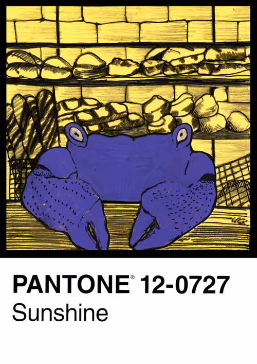 Item #115099711274945993550477812206769146754207097249407484383517624531930656538629 Media