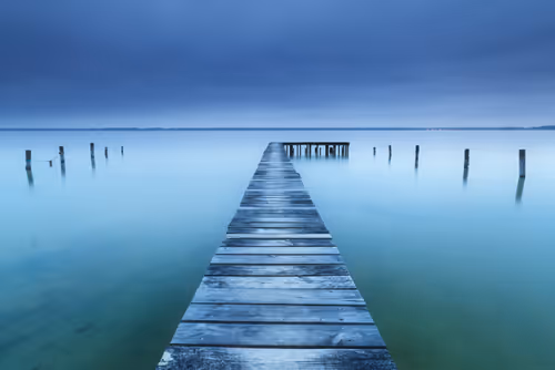 Item #33913556043655992485094381743340351336212161347103993477257409414869318369281 Media