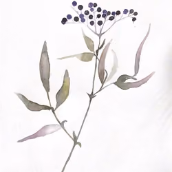 Digital Flower