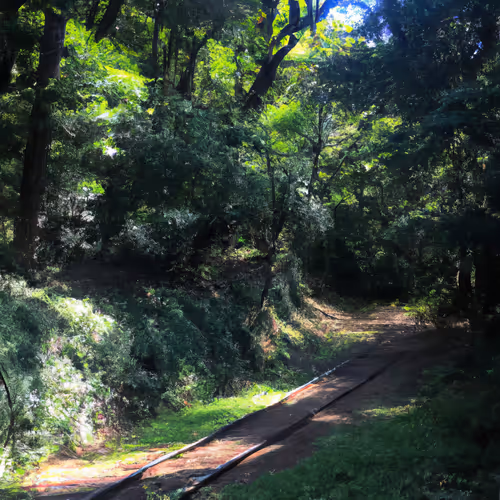 Item #52483136181237862615802415353626140358729312293332705384176179579310615560292 Media