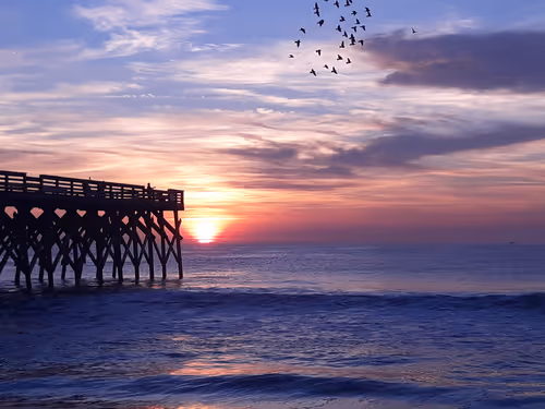 Item #31034686218974135791742659771557221930689516022793275851118188507032386011137 Media