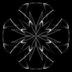 Beautiful Monochrome Square 20210827_m08