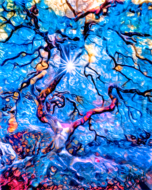 Item #42201246994299545027539035413424579429796844612340132392821326014230543990785 Media