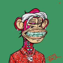 PAISLEY DMT X CONCEPTS