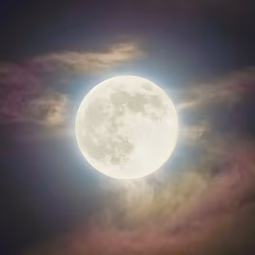 Item #52635344672284344927127524699842754890173282704640420392144903502586714259457 Media