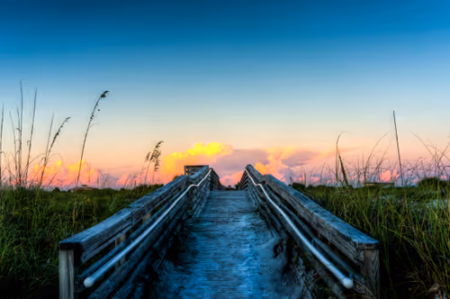 Item #5159867049349733485857806564982430960448309033464066462878907916039567179777 Media