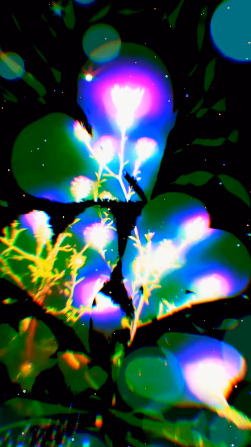 Item #48940607901015920857645731897372501433475151801314918202726248085580878446593 Media