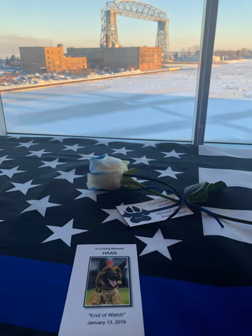 Item #77583281568737235436217946850455306889185240163730885588302184182299297316865 Media