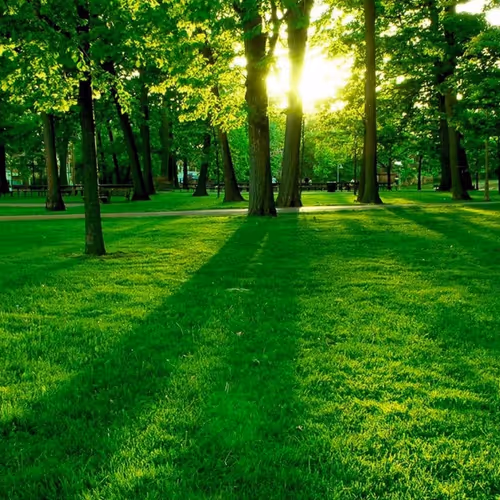 Untitled Collection #80661904